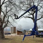Roots Up Tree Company crew safely removing tree branches near a residential home in Lafayette, CO.