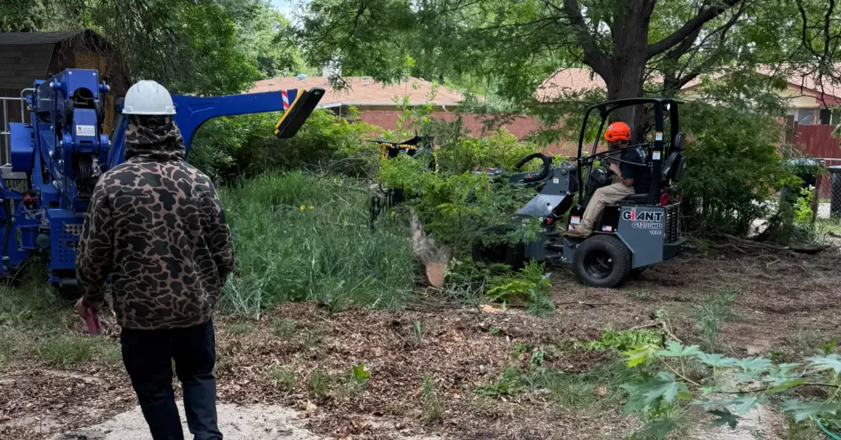 Professional crew performing shrub removal and shrub trimming in Boulder County, CO residential property.