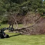 A downed tree branch is blocking a sidewalk in Boulder County after a storm