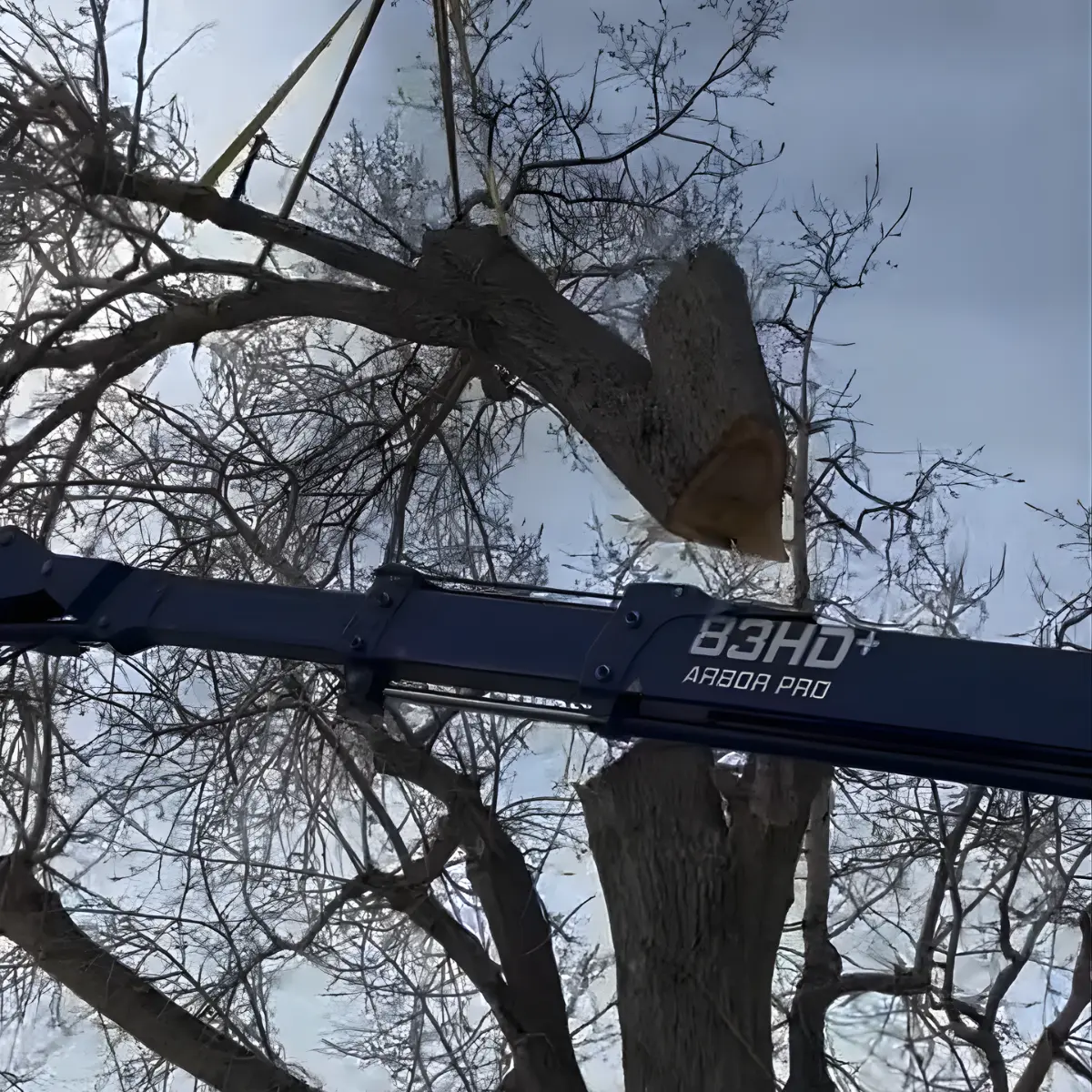 tree service pinecliffe co