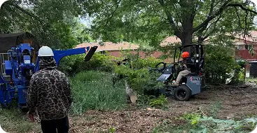 Shrub Removal and Shrub Trimming