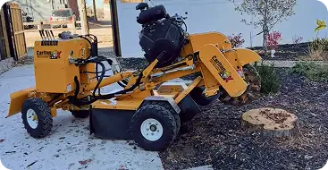 Stump Removal and Stump Grinding