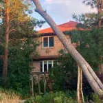 24/7 Emergency Tree Service & Storm Cleanup