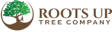 Roots Up Logo