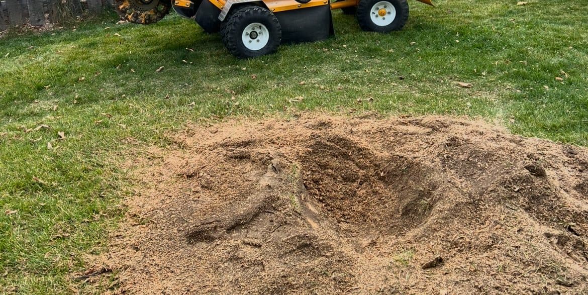 stump and tree removal job in erie co - after