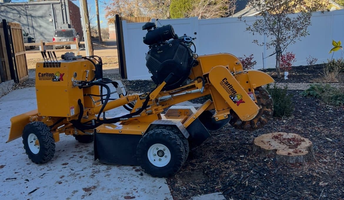 stump and tree removal job in erie co - before
