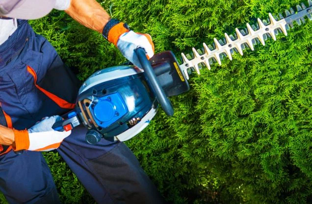 Avoid Environmental Risks With Tree Trimming Solutions