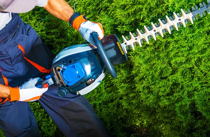 Gasoline Hedge Trimmer
