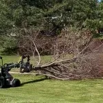 A downed tree branch is blocking a sidewalk in Boulder County after a storm