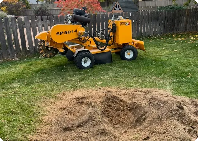 About Roots Up Tree Company