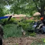 Shrub Removal and Shrub Trimming
