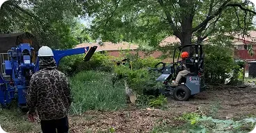 Shrub Removal and Shrub Trimming