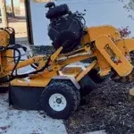 Stump Removal and Stump Grinding