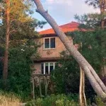 24/7 Emergency Tree Service & Storm Cleanup