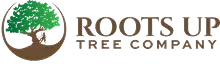 Roots Up Logo