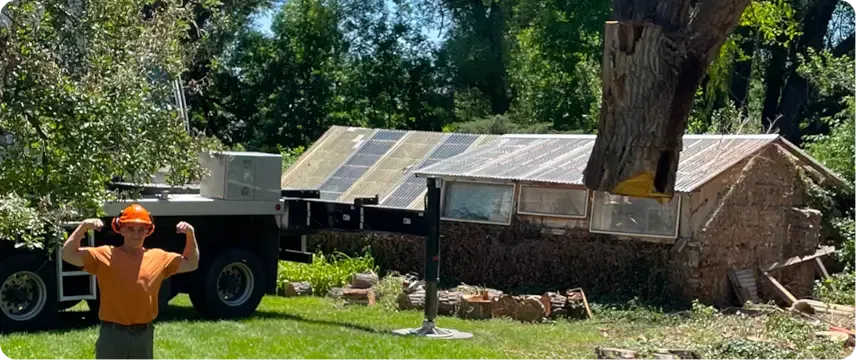 Tree Removal in Boulder, CO