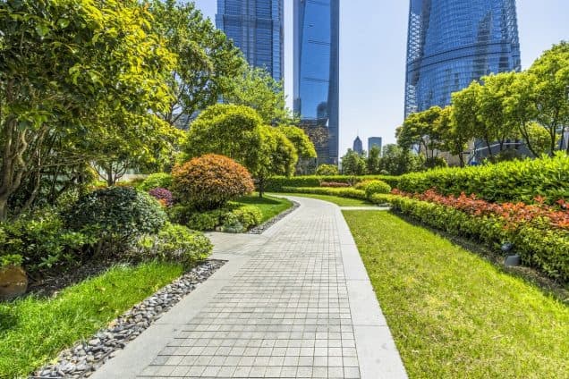 Must-Do Preventative Tree Services for Commercial Properties