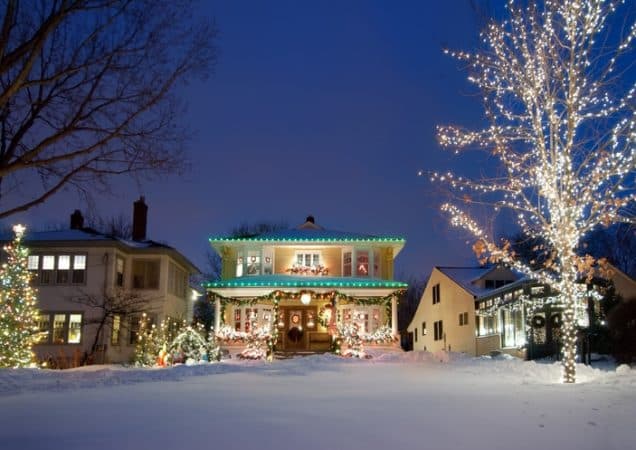 Prepare a Beautiful Tree Landscape This Holiday Season
