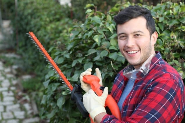 Why Smart Businesses Rely on Commercial Tree Experts