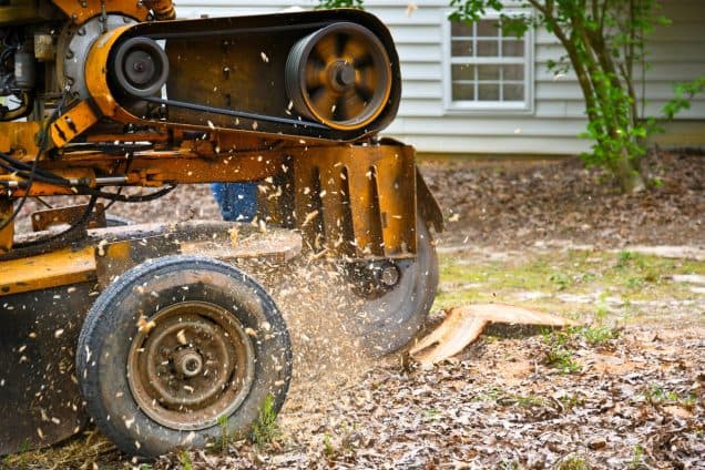 Safely Uprooting Danger: Emergency Tree Removal for Hazardous Situations
