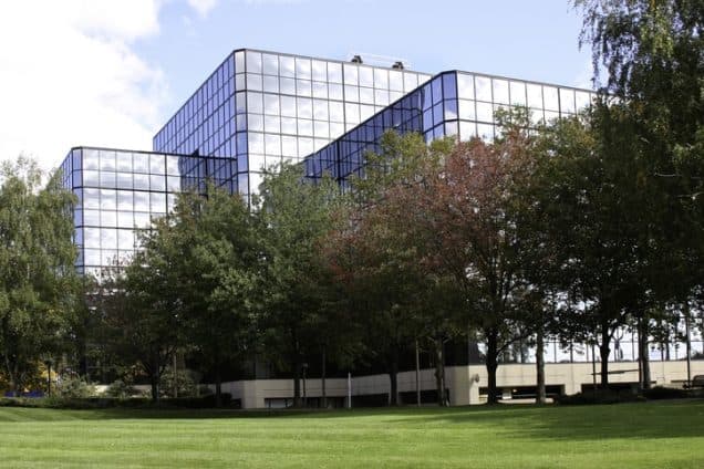 Why Every City Needs Regular Commercial Tree Services