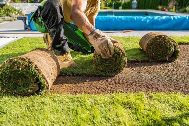 Rolls of Natural Grass