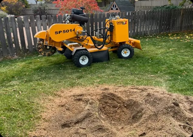About Roots Up Tree Company
