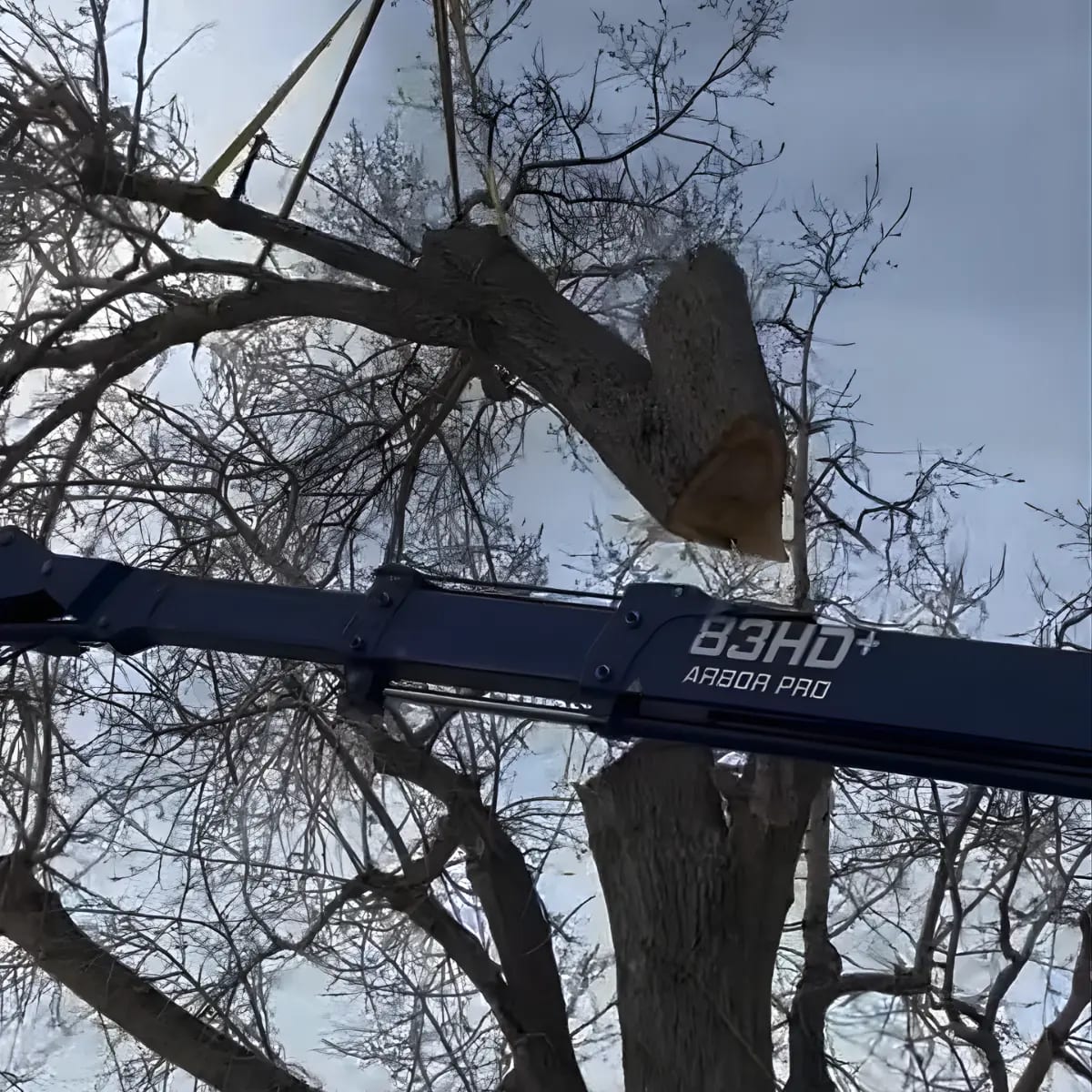 tree service pinecliffe co