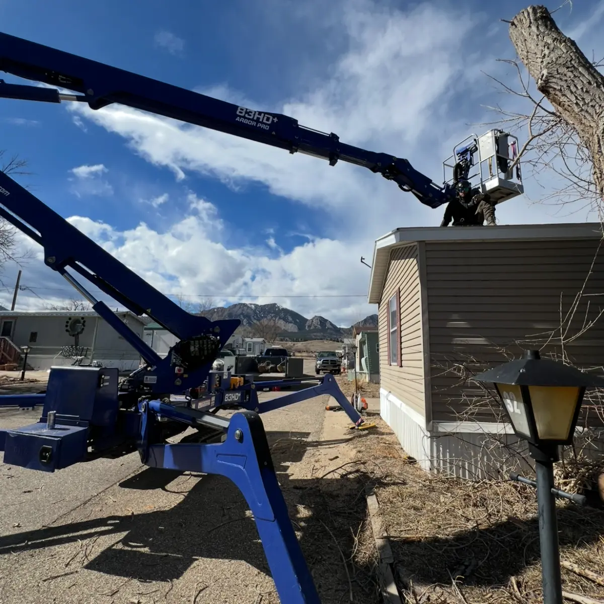 Tree Service Firestone, CO