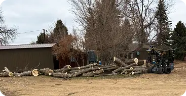 Land Clearing
