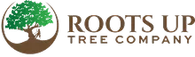 Roots Up Logo